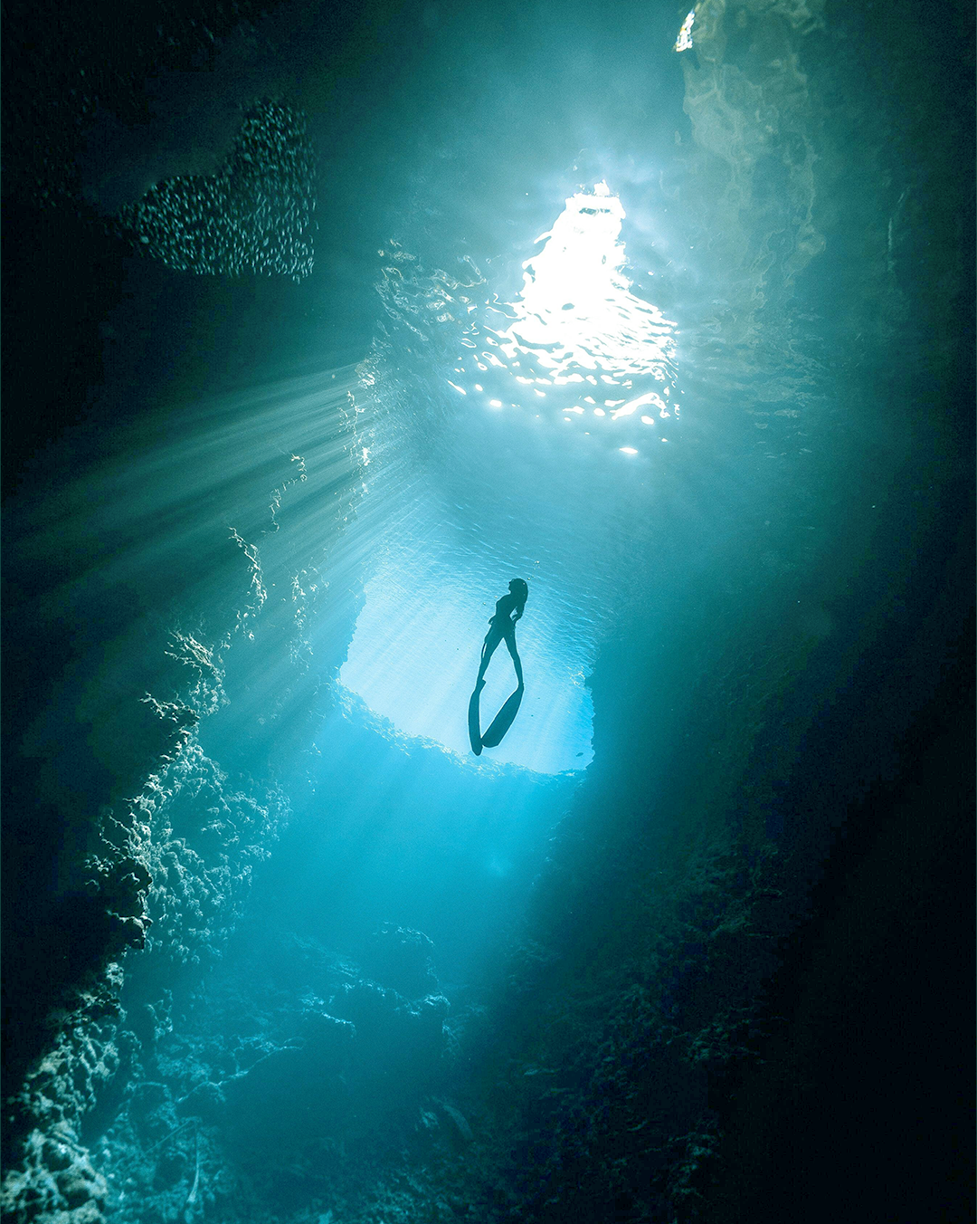 Women's Freediving Suits