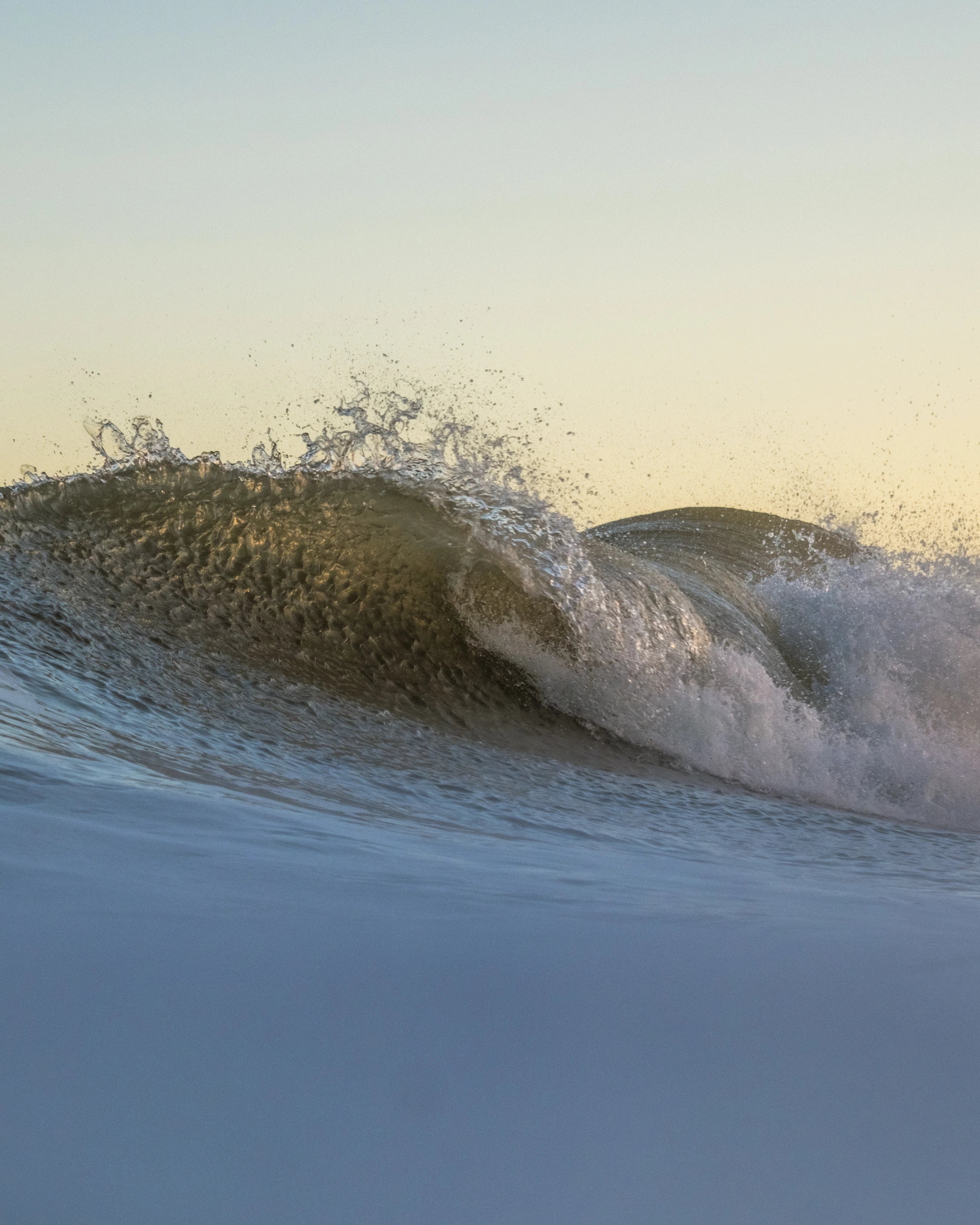 Ocean Tailored Wetsuits