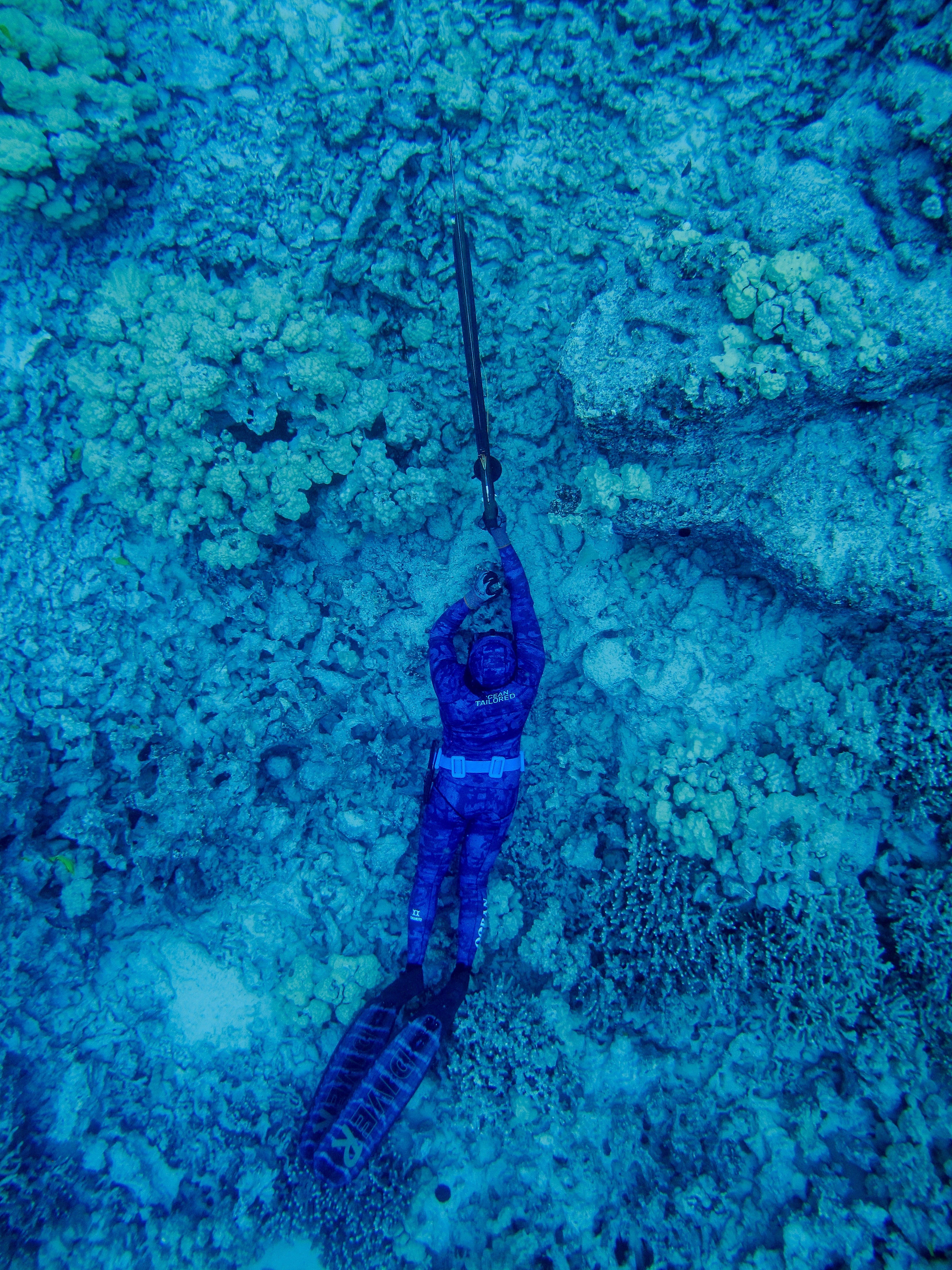 Men’s Spearfishing Wetsuit (2-Piece) with Chest Loading Pad – Blue Reef