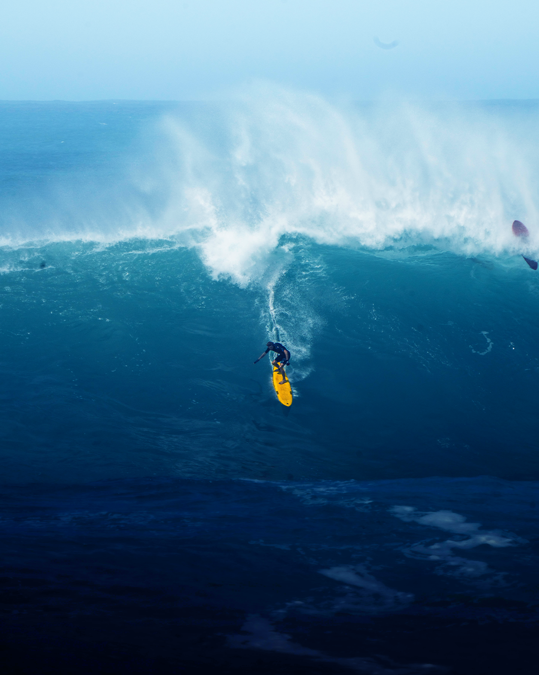 Ocean Tailored Wetsuits