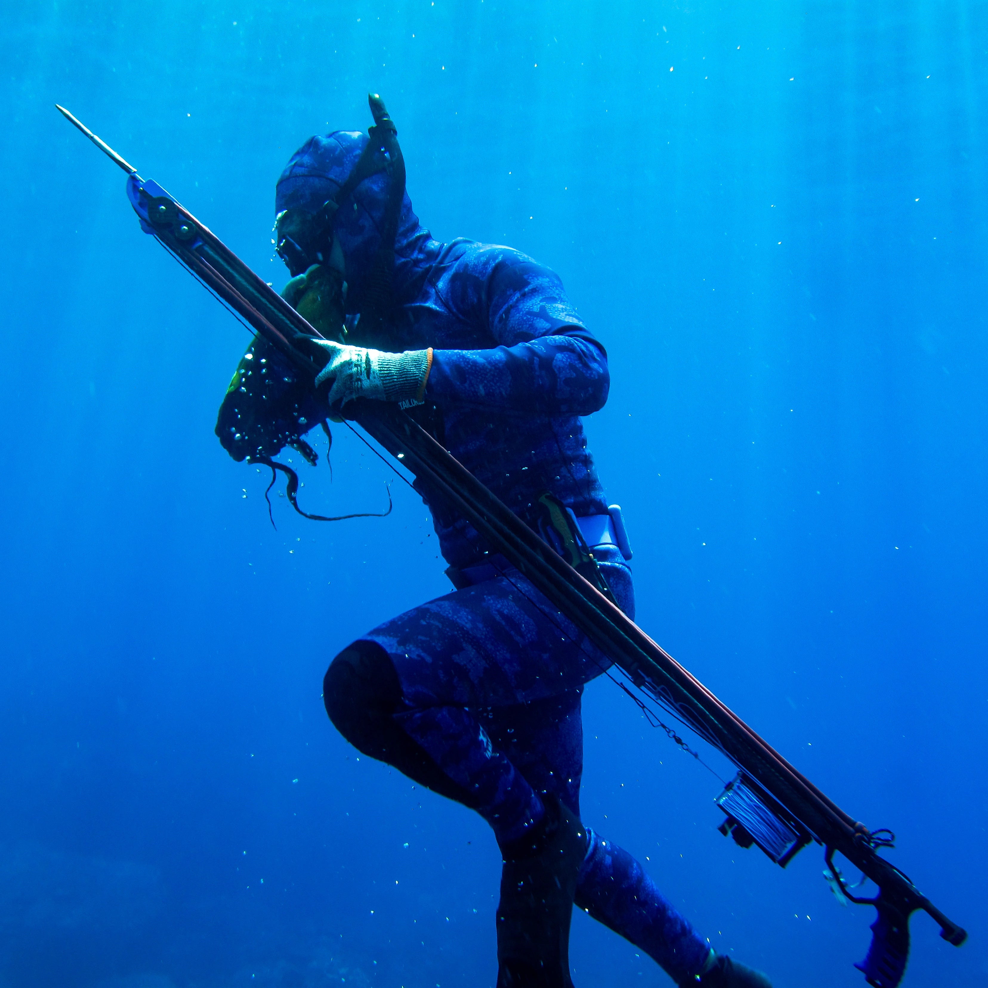 Spearfishing
