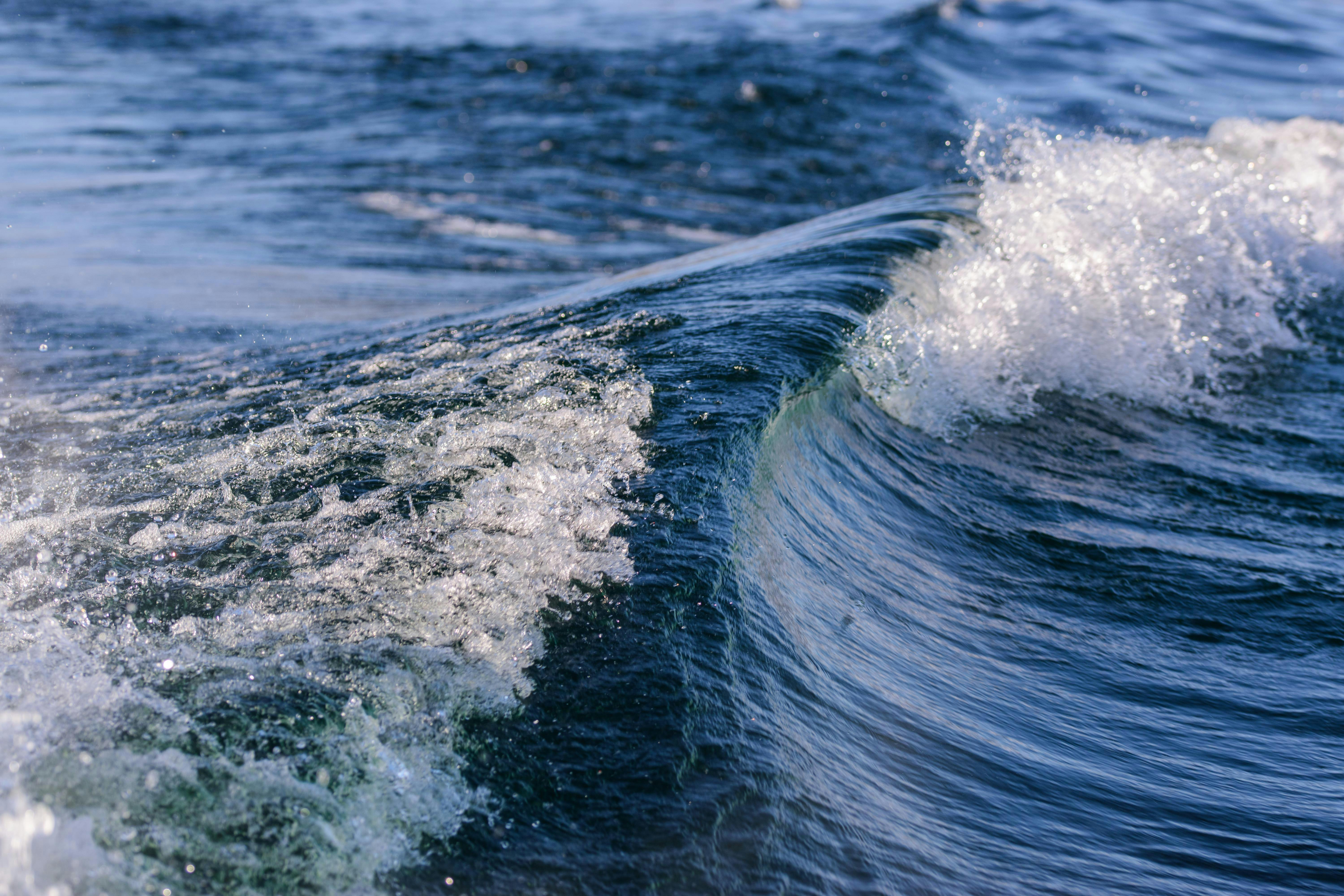 Ocean Tailored Wetsuits