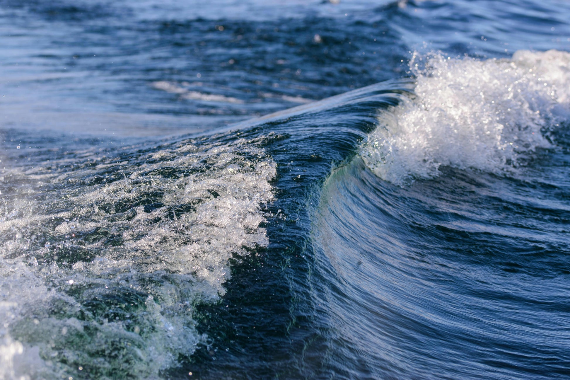 The Dream Wetsuit – Fully Custom Design Service
